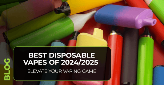BEST DISPOSABLE VAPES 2024/2025