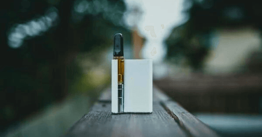 Mellow Fellow - The Review: A Comprehensive Take on the Products