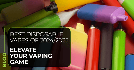 BEST DISPOSABLE VAPES 2024/2025