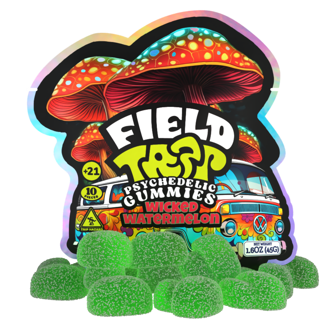 Field Trip PSYCHOACTIVE Mushroom GUMMIES 10 GUMMIES PER PACK