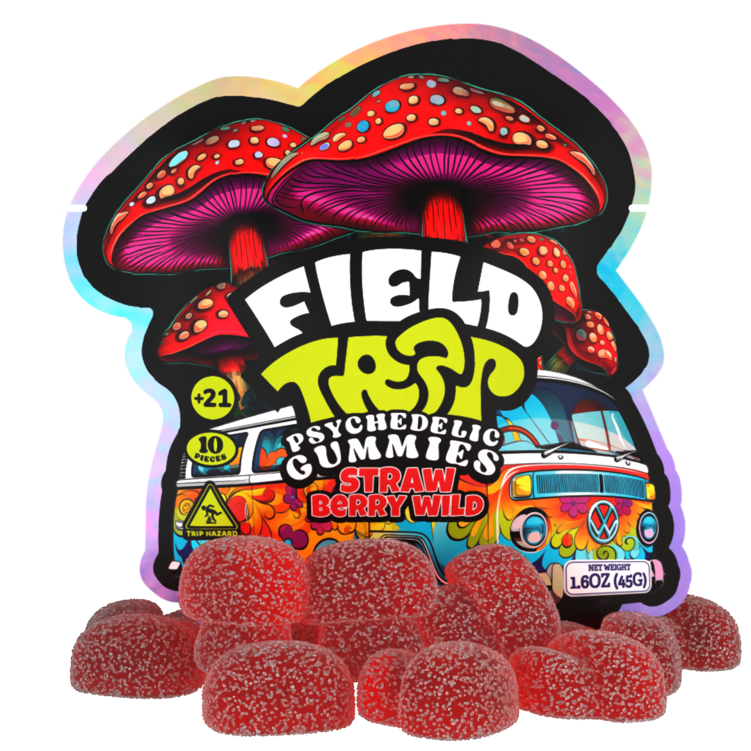 Field Trip PSYCHOACTIVE Mushroom GUMMIES 10 GUMMIES PER PACK