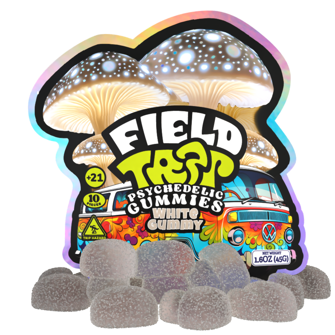 Field Trip PSYCHOACTIVE Mushroom GUMMIES 10 GUMMIES PER PACK