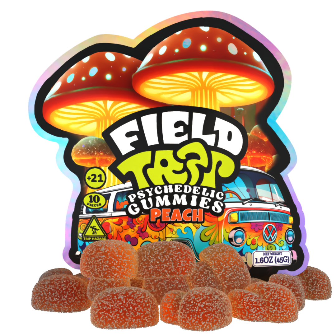 Field Trip PSYCHOACTIVE Mushroom GUMMIES 10 GUMMIES PER PACK