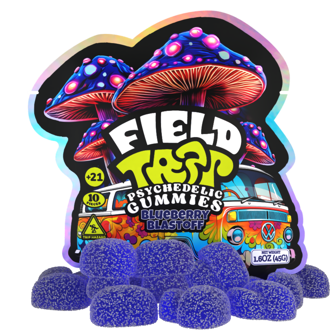 Field Trip PSYCHOACTIVE Mushroom GUMMIES 10 GUMMIES PER PACK